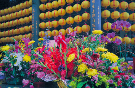 New Year's lanterns