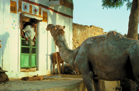 Jaisalmer