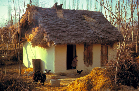 Cottage