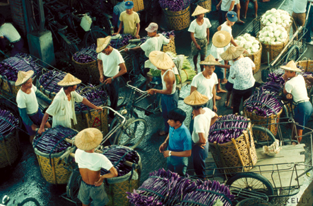 Eggplant market