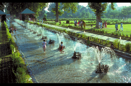 Palace gardens
