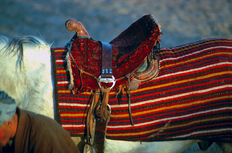 Horse blanket
