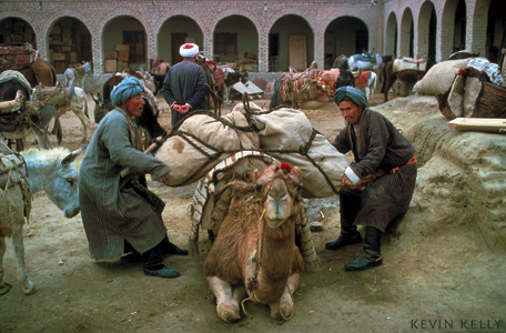 Caravanasi