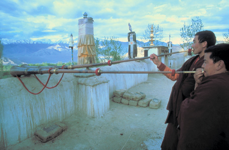 Horns in Laddhak