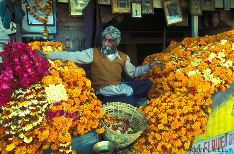 Rajastan