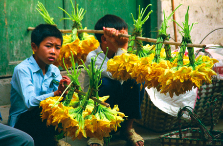 Squash blossoms