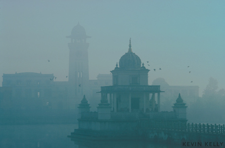 Rani Pohkari
