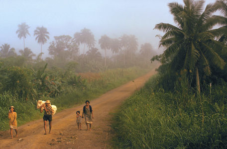 Country road, morning