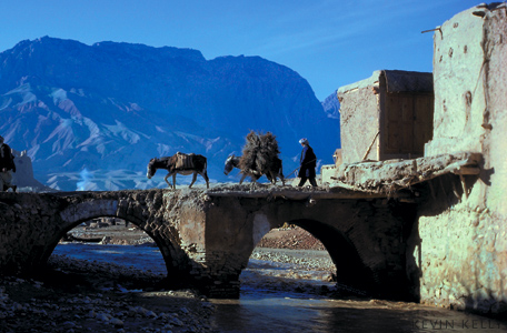 Bridge