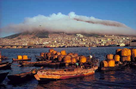 Fog over harbor