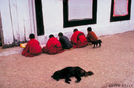 Students, Sikkim