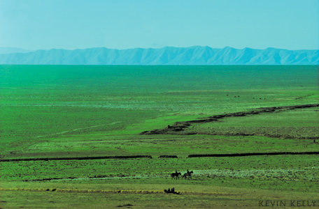 The steppes in spring