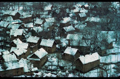 Thatched house village