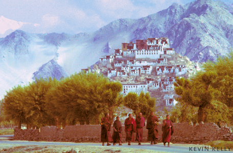 Tikse, Laddakh