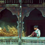 Wood carvings