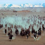 Buzkashi game