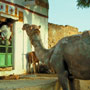 Jaisalmer
