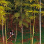 Bamboo cutter, Kyushu