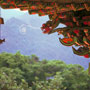 Eaves of Temple