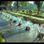 Palace gardens