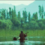 Dal Lake