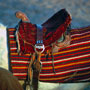 Horse blanket