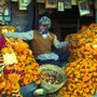 Rajastan
