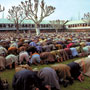 Mosque, Srinagar