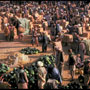 Melon market