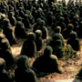 Little buddhas
