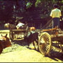 Ox carts, Pagan