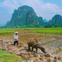 Yangshuo
