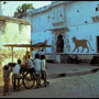 Rajastan