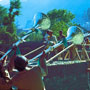 Kulu