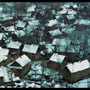 Thatched house village