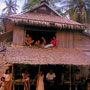 Thatched House