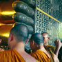Buddha's Feet