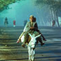 Donkey Taxi, Herat