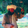 Grape farmer