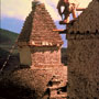 Roof carpenters