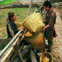 Basket peddler