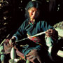 Wool spinner