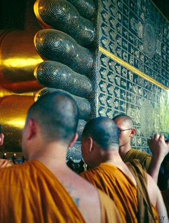 Buddha's Feet