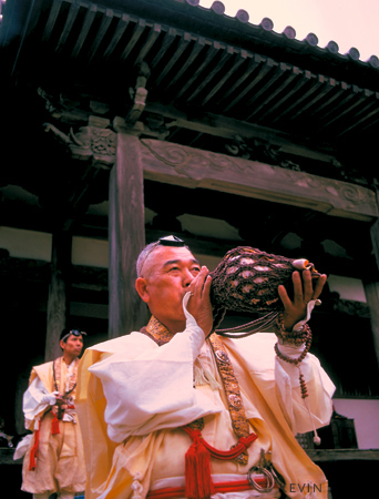 Conch shell trumpet