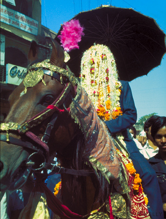 Wedding Groom