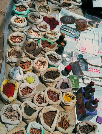 Medicine shop
