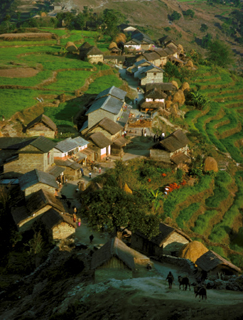 Katunge Bazaar