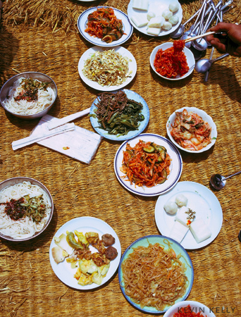 Lunch picnic