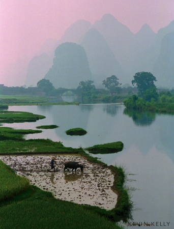 Summer mist