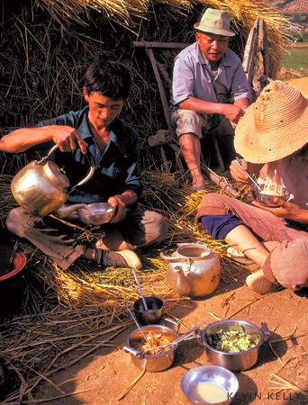 Picnic